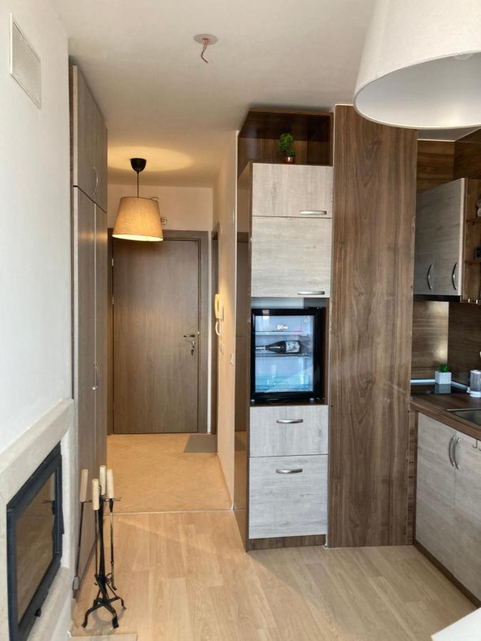 Mirabell Studio Bansko - Amazing View & Fireplace Extérieur photo