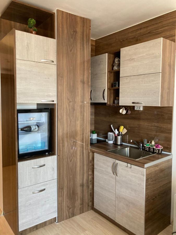 Mirabell Studio Bansko - Amazing View & Fireplace Extérieur photo