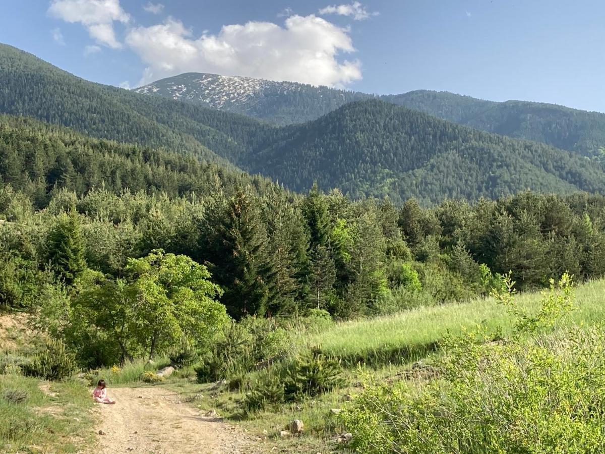 Mirabell Studio Bansko - Amazing View & Fireplace Extérieur photo